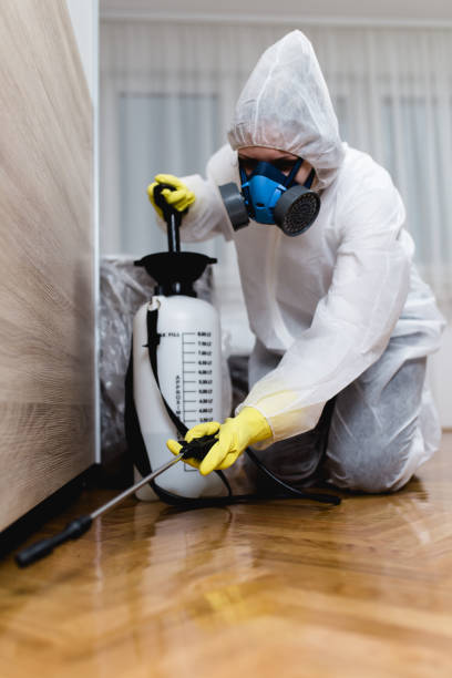 Best Pest Prevention Services  in Orangetree, FL